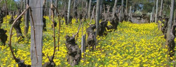 Domaine de La Soufrandière, Bret Brothers 